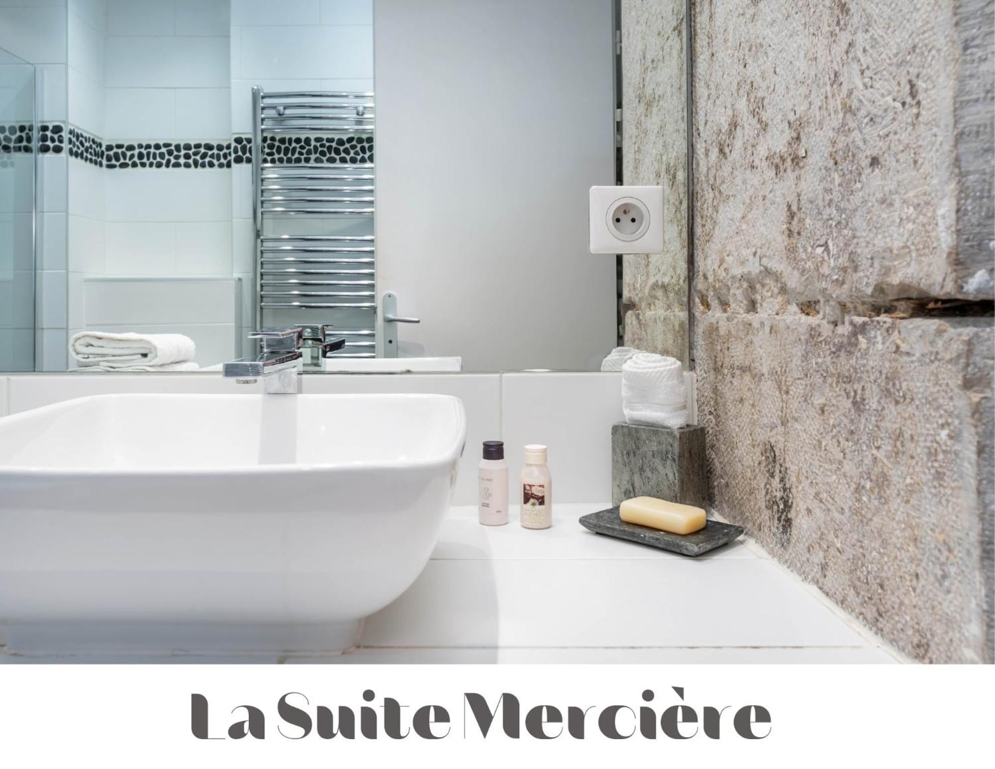Le Carre Merciere , Appartements De Luxe Au Coeur De Lyon, Loft Et Studio Exteriér fotografie